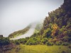 nahorni_plosina_Paul_da_Serra_madeira_spurek (3).jpg